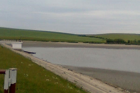 Au golit apa dintr-un baraj plin cu sute de mii de pesti... ca sa-l curete!