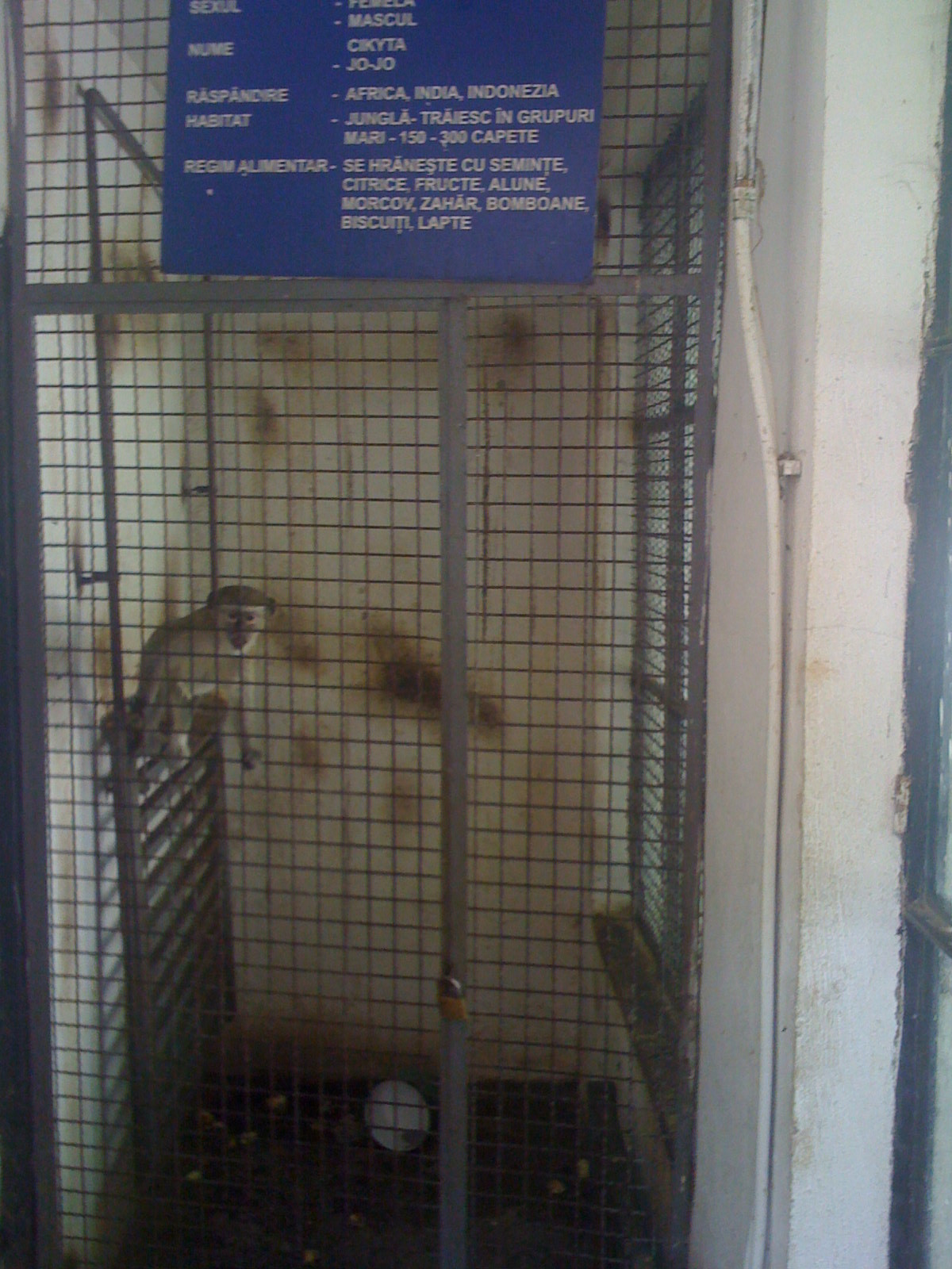 Animalele de la Zoo Onesti traiesc in propriile fecale si beau apa cu urina