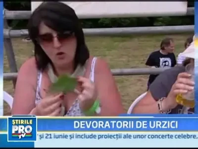 Campionat mondial de mancat urzici!