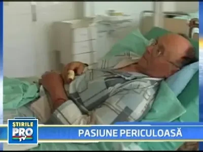 Pasiune aproape fatala! Muscat de una din viperele pe care le creste