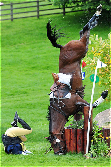 IMAGINEA ZILEI: In botul calului!