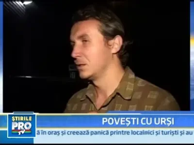 Doi ciobani, atacati de un urs, in Muntele Negoiu!