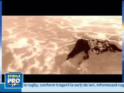 Angelina Jolie face apel la umanitate!