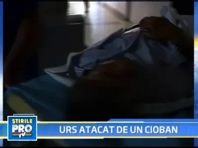 S-a intors lumea pe dos! Un cioban a atacat un urs cu ciomagul