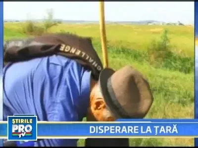 Obligati sa-si vanda animalele pe bani de nimic