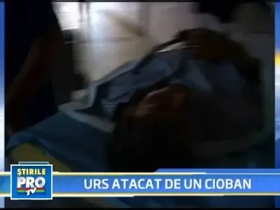 22_ursi_noi