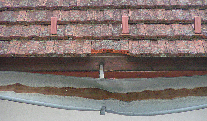 Vantul, singurul vinovat pentru viata chinuita a unei fetite de 3 ani!