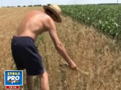 Agricultorii romani au ajuns la sapa de lemn