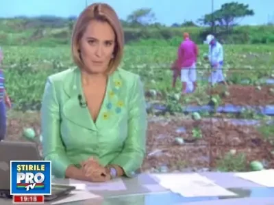 Pepenii uriasi din Spania si Turcia au invadat pietele din Romania