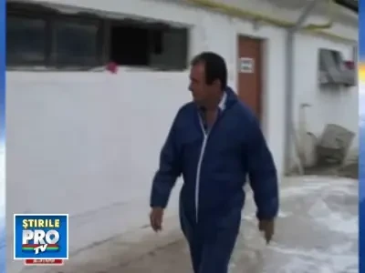 Pana in 2012 fermele romanesti avicole trebuie modernizate! Afla cum!