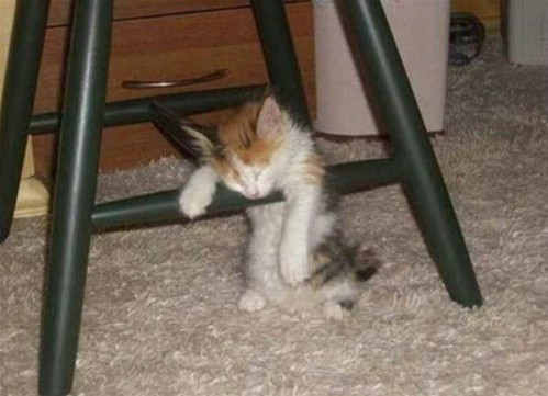 Unde dai si unde-adoarme! VEZI FOTO!