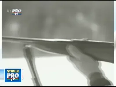 Romania, te iubesc! Averea din paduri