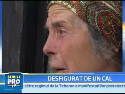 Iasi: un copil de 8 ani, muscat cu salbaticie si desfigurat de un cal!