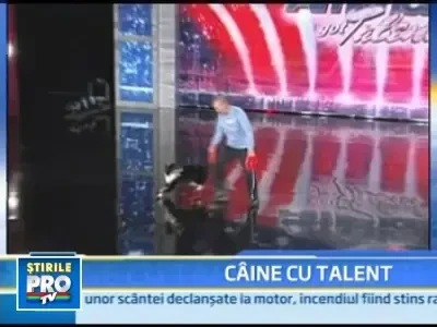 "America's got talent" a debutat cu cel mai simpatic concurent, Rory!