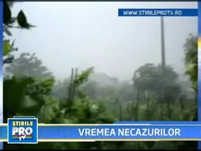 Vijeliile nu se lasa! Au facut prapad in mai multe judete ale tarii!