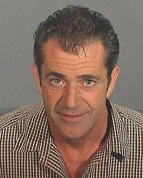 Mel Gibson catre un realizator TV: "Magarule!"