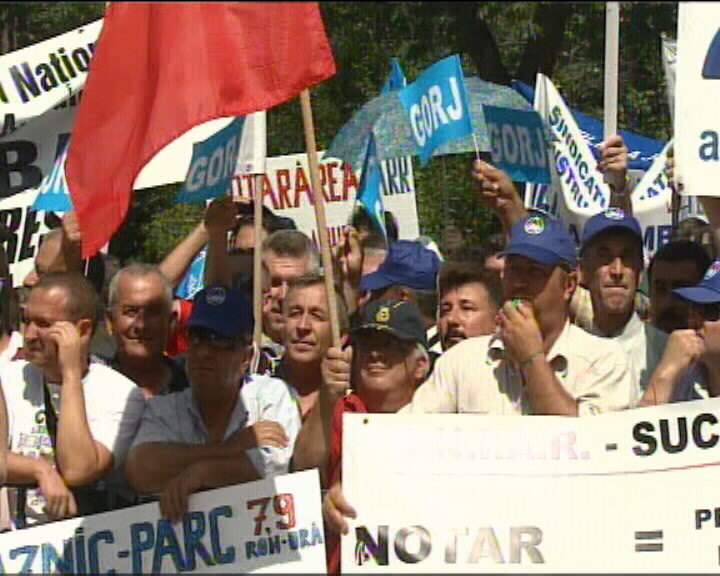 Instructorii auto independenti vor sa profeseze! Protest la Transporturi