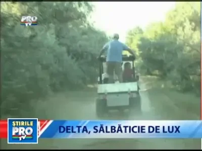 Romania, te iubesc: In Delta e criza doar... la peste!