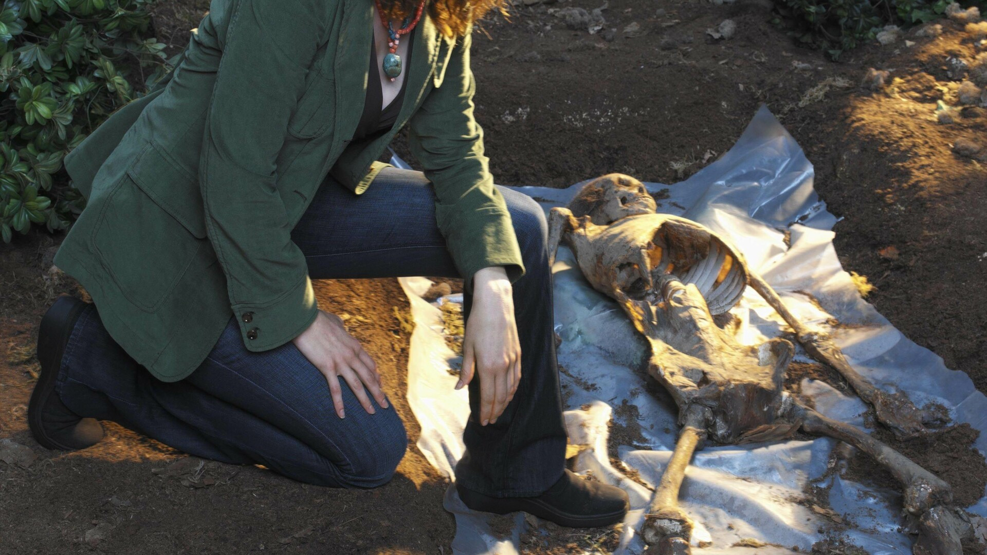 Actrita Emily Deschanel vrea o viata mai buna pentru cimpanzei!