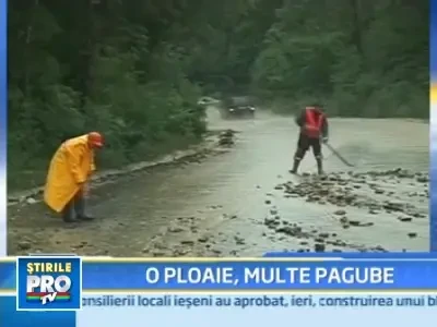 Ploile torentiale si vijeliile au maturat Buzaul!