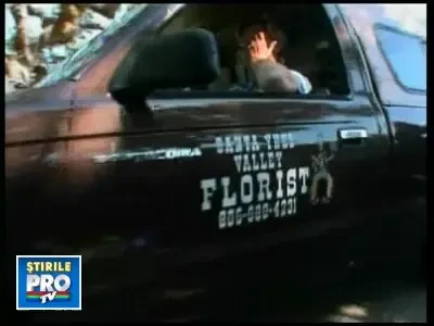 Neverland-ul, gata sa-si primeasca Regele!