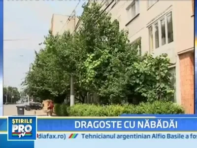 Un barbat a incercat sa-si ia viata de noua ori, din cauza unei femei