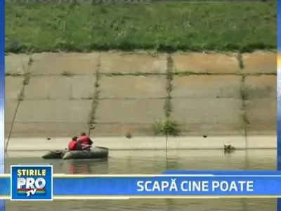 Mistret "salvat" de la inec, cu lovituri in cap, in loc de anestezie!