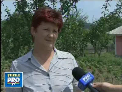 tepuiti_cartele_050709