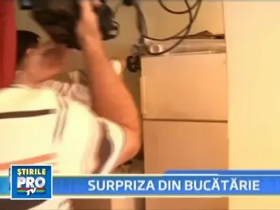 Oferta pe litoral: mancare veche de o saptamana, asezonata cu chiloti!