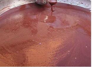 Din secretele civilizatiei maya. Ce insemna in urma cu 2500 de ani o viata sanatoasa