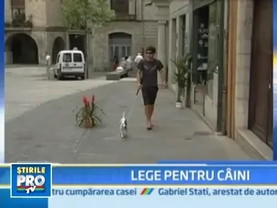 Sanatatea unui caine, la fel de importanta ca cea a unui om. In Spania!