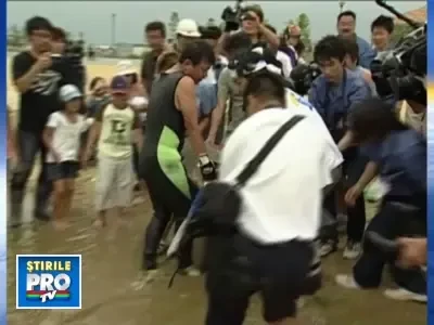 Inotatoare noi pentru o testoasa care a scapat din coltii rechinilor