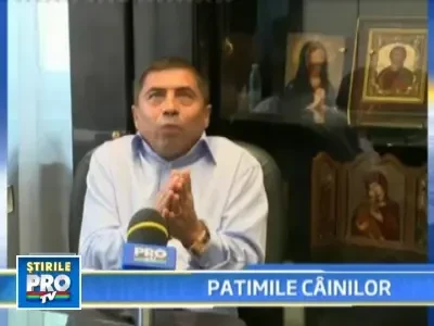 Cainii rosii se spovedeau la preotul surprins cu un barbat in pat!