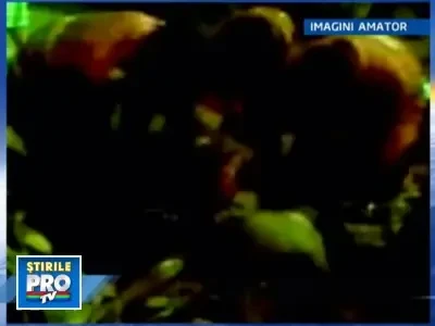 Moarte invaluita in mister, pe un santier din Bucuresti!