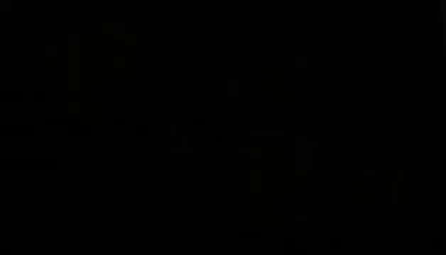 Magda Palimariu - Berbecul de aur