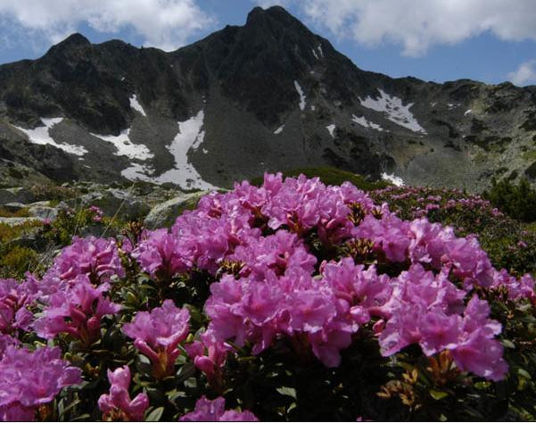 Voteaza Parcul National Retezat in topul celor 7 minuni naturale ale lumii!