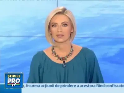 Dorm, lucreaza si se distreaza in hamac!