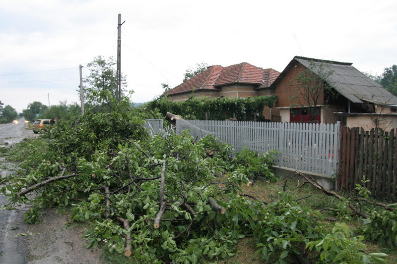 5 oameni au fost arsi de trasnet, iar zeci de localitati au ramas in bezna