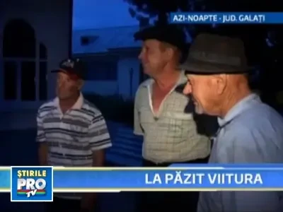Angajati ai primariilor judetene, pregatiti de viitura cu... sticla de vin!