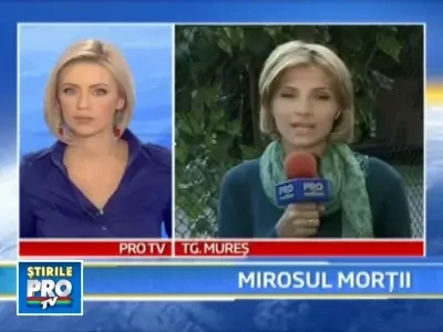 Incident "puturos"! Tone de lesuri de animale, imprastiate pe sosea