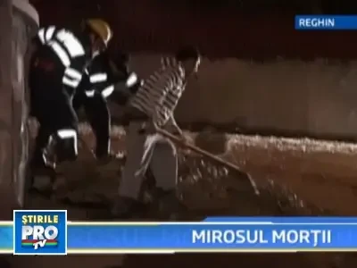 Incident "puturos"! Tone de lesuri de animale, imprastiate pe sosea