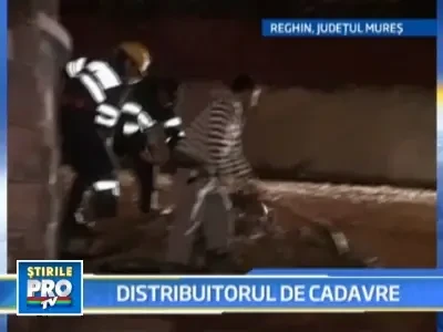 Incident "puturos"! Tone de lesuri de animale, imprastiate pe sosea