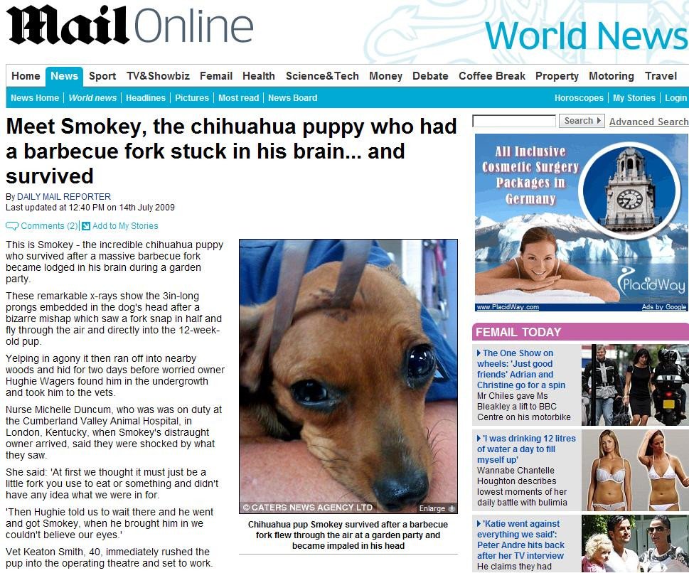 A supravietuit doua zile cu o furculita infipta in creier!