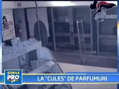 Cei 7 romani care au speriat vestul Italiei cu jafuri frumos mirositoare