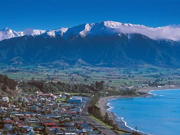 Merge pe uscat, pluteste pe apa si la nevoie isi ia zborul. Ghici ce-i!