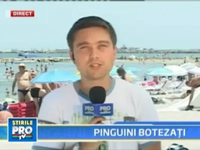 Ermelyo, Maia, Sally, Athos! Pinguinii Delfinariului din Constanta,botezati