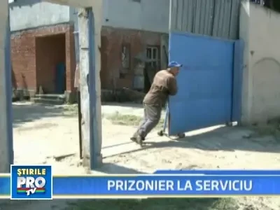 Mananca laolalta cu cainii pentru ca n-a primit salariul de sapte luni!