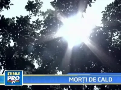 Doi romani au fost ucisi de canicula, in cea mai calda zi a lui 2009