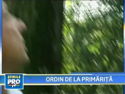 Inventar la cuiburile de ciori! "Indatorirea" unui viceprimar din Dolj!