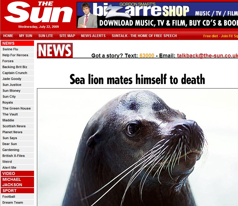 Un leu de mare s-a imperecheat pana la moarte!